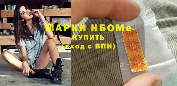 индика Беломорск