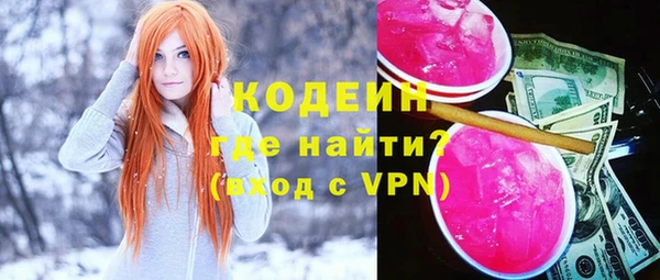 индика Беломорск
